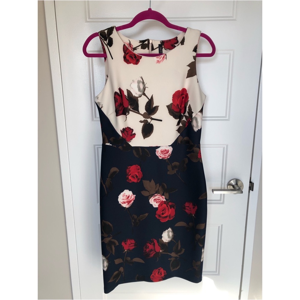 Lori Michaels Rose Dress
